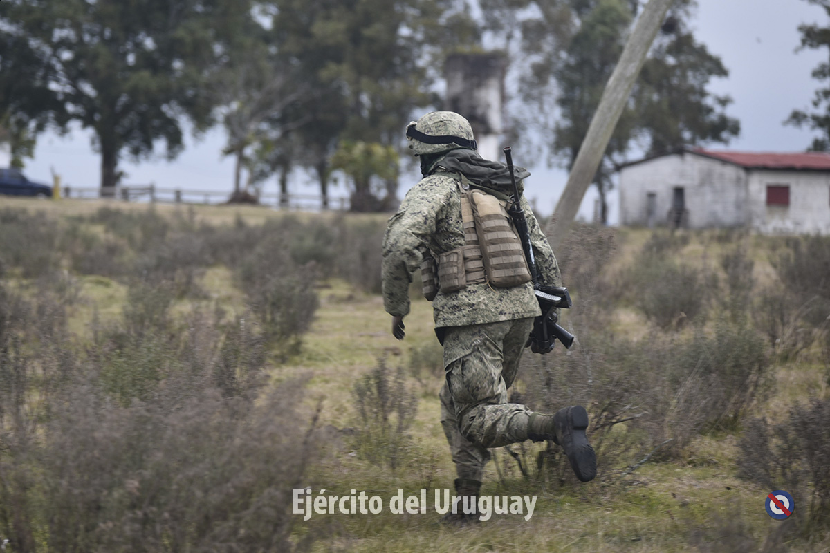 Campaña De Operaciones Ofensivas Y Defensivas Con Medios Blindados ...